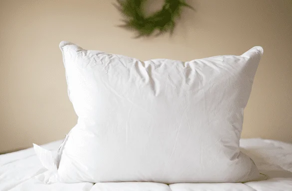 Memory Foam Pillows for Neck SupportBack Support Pillows for Office ChairsPillowtex Luxury Core Down and Feather Pillow | 25% Feather/75% Down Memory Foam Pillows for Neck SupportBack Support Pillows for Office ChairsPillowtex Luxury Core Down and Feather Pillow | 25% Feather/75% Down