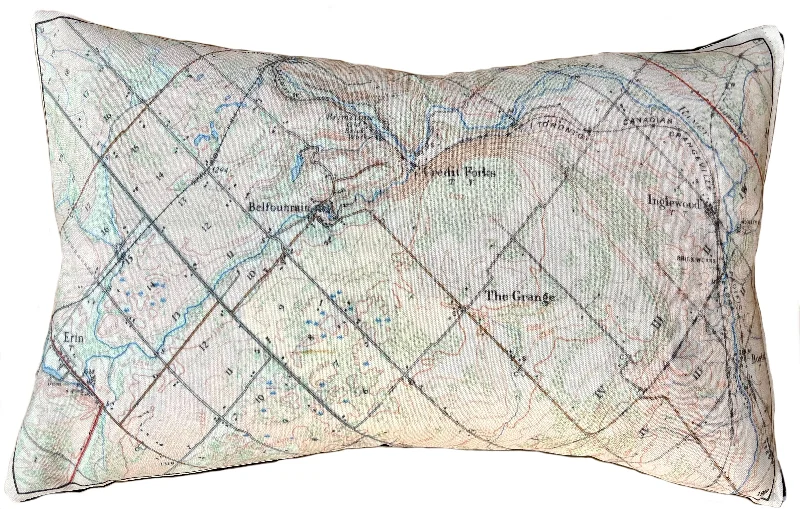 Velvet Pillows for a Touch of EleganceVelvet Pillows for a Touch of EleganceCaledon Vintage Map Pillow