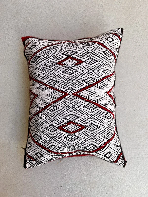 Memory Foam Pillows for Neck SupportLumbar Support Pillows for Car SeatsAin Leuh Pillow - Evil Eye, Striped Back
