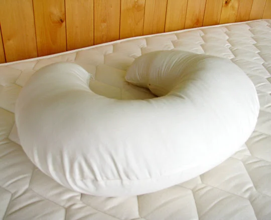 Down Alternative Pillows for Ethical ChoicesCooling Pillows for Hot SleepersHoly Lamb Organics "Bo Peep" Nursing Pillow | Organic Made in USA Down Alternative Pillows for Ethical ChoicesCooling Pillows for Hot SleepersHoly Lamb Organics "Bo Peep" Nursing Pillow | Organic Made in USA