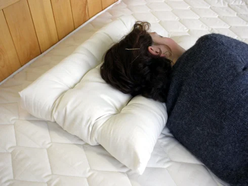 Feather Pillows for a Luxurious SleepFirm Pillows for Side SleepersHoly Lamb Organics Orthopedic Neck Pillow - Standard Size Feather Pillows for a Luxurious SleepFirm Pillows for Side SleepersHoly Lamb Organics Orthopedic Neck Pillow - Standard Size