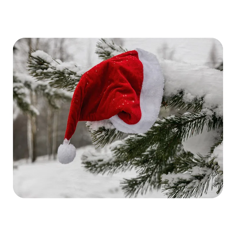 Rayon from bamboo blankets for a silky and breathable feelCashmere blankets for ultimate softness and luxurySanta claus hat (blanket)
